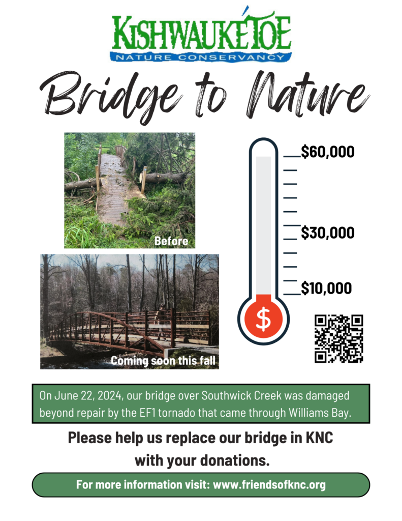Bridge to Nature