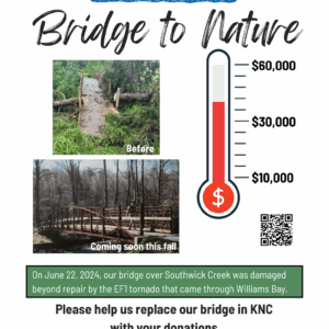 Bridge to Nature